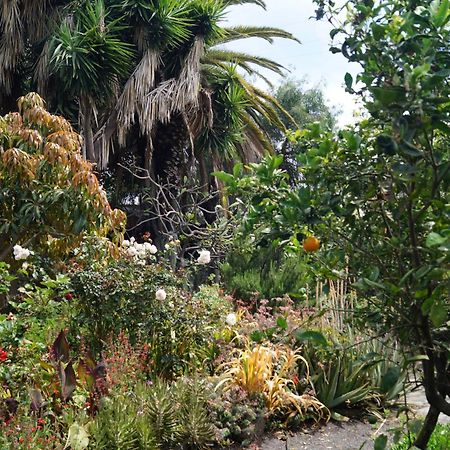 Villa La Casita Del Jardinero Los Llanos De Aridane Esterno foto